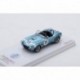 Shelby Cobra 11 12 Heures de Sebring 1964 Truescale TSM430348
