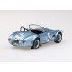 Shelby Cobra 142 Targa Florio 1964 Hill Bondurant Truescale TSM430350