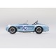 Shelby Cobra 142 Targa Florio 1964 Hill Bondurant Truescale TSM430350