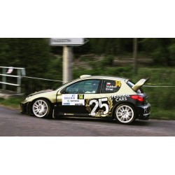 Peugeot 206 WRC 25 Rallye Bohemia 2015 Vojtech Ernst Sunstar SUN3863