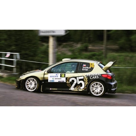 Peugeot 206 WRC 25 Rallye Bohemia 2015 Vojtech Ernst Sunstar SUN3863