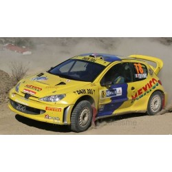 Peugeot 206 WRC 18 Rallye Mexique 2005 Trivino Del Barrio Sunstar SUN3865