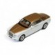 Rolls-Royce Phantom Middle East Special 2010 White and Gold IXO MOC162P