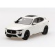 Maserati Levante Bianco Birdcage Truescale TSM430401