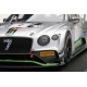 Bentley Continental GT3 7 3 Heures de Monza 2018 Truescale TS0243