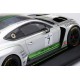 Bentley Continental GT3 7 3 Heures de Monza 2018 Truescale TS0243