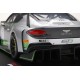 Bentley Continental GT3 7 3 Heures de Monza 2018 Truescale TS0243