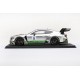 Bentley Continental GT3 8 3 Heures de Monza 2018 Truescale TS0244