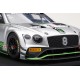 Bentley Continental GT3 8 3 Heures de Monza 2018 Truescale TS0244