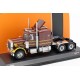 Peterbilt 359 1980 Metallic Brown IXO TR043