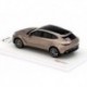 Aston Martin DBX Satin Solar Bronze Truescale TSM430498
