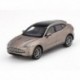 Aston Martin DBX Satin Solar Bronze Truescale TSM430498