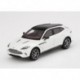 Aston Martin DBX Frost White Truescale TSM430499