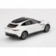 Aston Martin DBX Frost White Truescale TSM430499