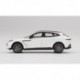 Aston Martin DBX Frost White Truescale TSM430499