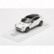 Aston Martin DBX Frost White Truescale TSM430499