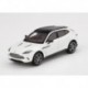 Aston Martin DBX Frost White Truescale TSM430499
