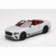 Bentley Continental GT Convertible Ice Truescale TSM430510
