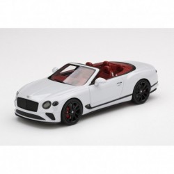 Bentley Continental GT Convertible Ice Truescale TSM430510