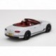Bentley Continental GT Convertible Ice Truescale TSM430510