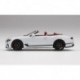 Bentley Continental GT Convertible Ice Truescale TSM430510
