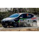 Renault Clio RSR 48 Rallye du Mexique 2020 Basannez Pimentel IXO RAM756