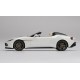 Aston Martin Vanquish Zagato Speedster Escaping White Truescale TS0229