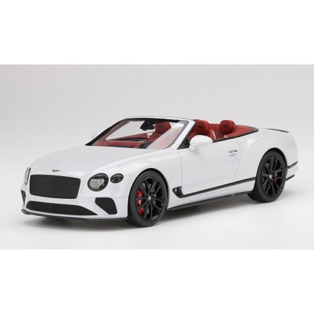 Bentley Continental GT Convertible Ice Top Speed TS0291