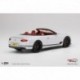 Bentley Continental GT Convertible Ice Top Speed TS0291