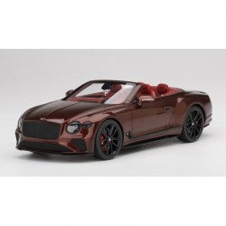 Bentley Continental GT Convertible Cricket Ball Top Speed TS0292
