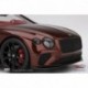 Bentley Continental GT Convertible Cricket Ball Top Speed TS0292