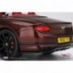 Bentley Continental GT Convertible Cricket Ball Top Speed TS0292