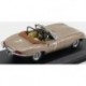 Jaguar E-Type Spider 7 Pacific Coast Championship Sports Car Road Races Del Mar 1961 Wally Barnitz Best Model 9459