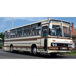 Ikarus 256 Light Beige Brown IXO PCL47126