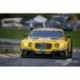 Bentley Continental GT3 38 24 Heures du Nurburgring 2016 Spark SG236