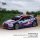 Hyundai i20 Coupe WRC 7 Rallye de Sardaigne 2020 P.-L. Loubet - V. Landais IXO RAM764