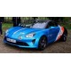 Alpine A110 Trackside n 14 Fernando Alonso 2021 Spark S6591