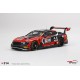 Bentley Continental GT3 5 Champion Blancpain GT Asia 2018 Truescale TS0314