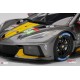 Chevrolet Corvette C8R 64 24 Heures du Mans 2021 Truescale TS0381