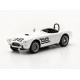 Shelby Cobra CSX2008 98 SCCA Riverside 1963 2ème Ken Miles Truescale TSM430520