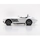 Shelby Cobra CSX2008 98 SCCA Riverside 1963 2ème Ken Miles Truescale TSM430520