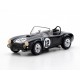 Shelby Cobra CSX2127 12 12 Heures de Sebring 1963 Class Winner Truescale TSM430521