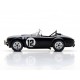 Shelby Cobra CSX2127 12 12 Heures de Sebring 1963 Class Winner Truescale TSM430521