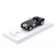 Shelby Cobra CSX2127 12 12 Heures de Sebring 1963 Class Winner Truescale TSM430521