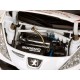 Peugeot 207 S2000 7 Rallye du Portugal 2008 Stohl - Minor Sunstar SS5436