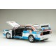 Audi Quattro A2 3 Rallye d'Argentine 1984 Recalde - Del Buono Sunstar SUN4254
