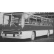 Ikarus 260.06 1981 Red White IXO PCL47153