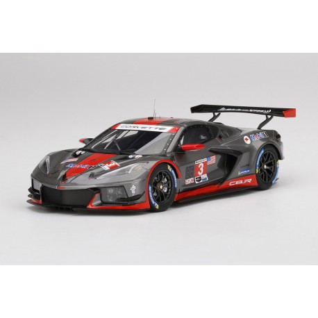 Chevrolet Corvette C8R 3 12 Heures de Sebring 2021 Truescale TS0339