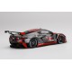 Chevrolet Corvette C8R 3 12 Heures de Sebring 2021 Truescale TS0339