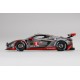 Chevrolet Corvette C8R 3 12 Heures de Sebring 2021 Truescale TS0339